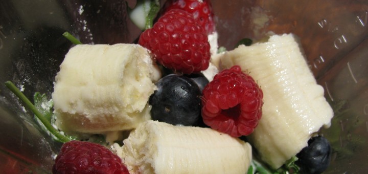 fruit in a blender