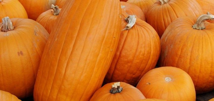 Pumpkins