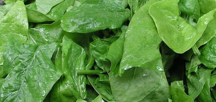 spinach leaves