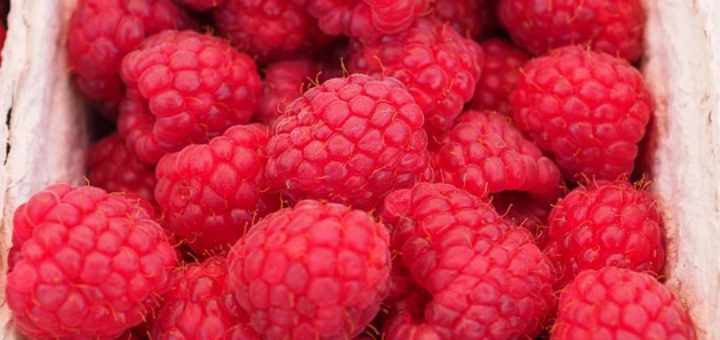 basket of raspberries