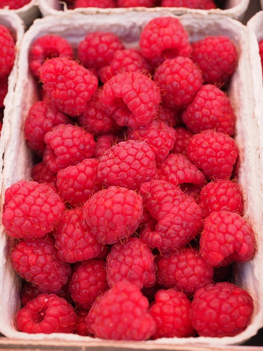 basket of raspberries