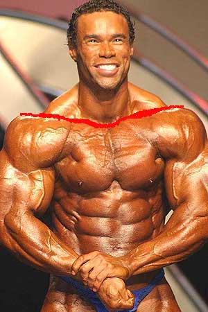 Muscle building steroids for men