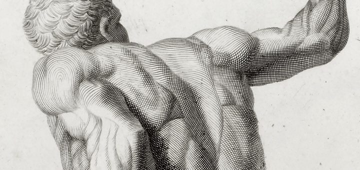 Sketch of man's muscular back