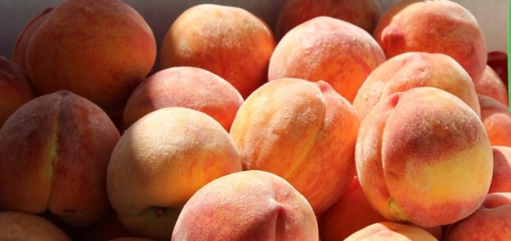 Peaches