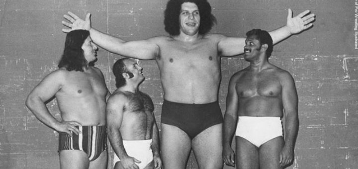 andre the giant