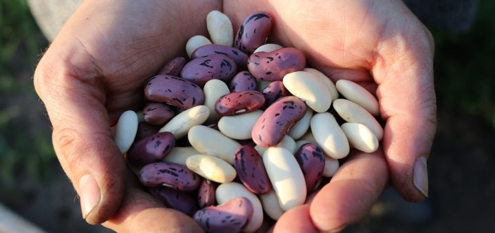 handful of beans