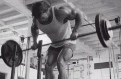 Wide Grip v. Narrow Grip Rows SmoothieGains