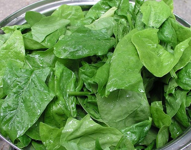 spinach leaves