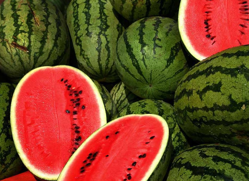 watermelons