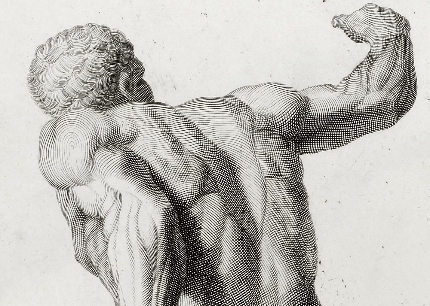 Sketch of man's muscular back